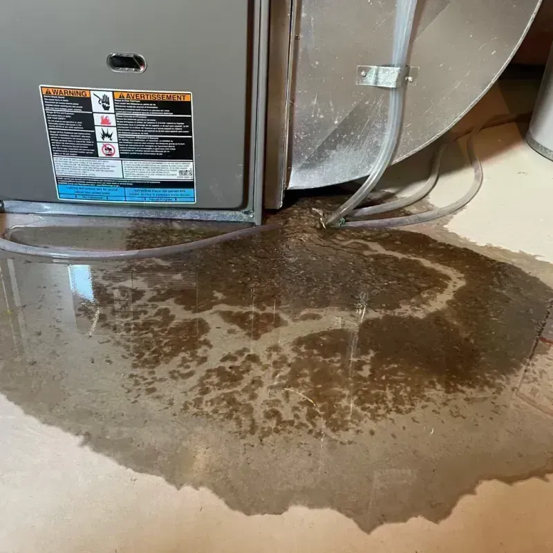 Appliance Leak Cleanup in Haymarket, VA